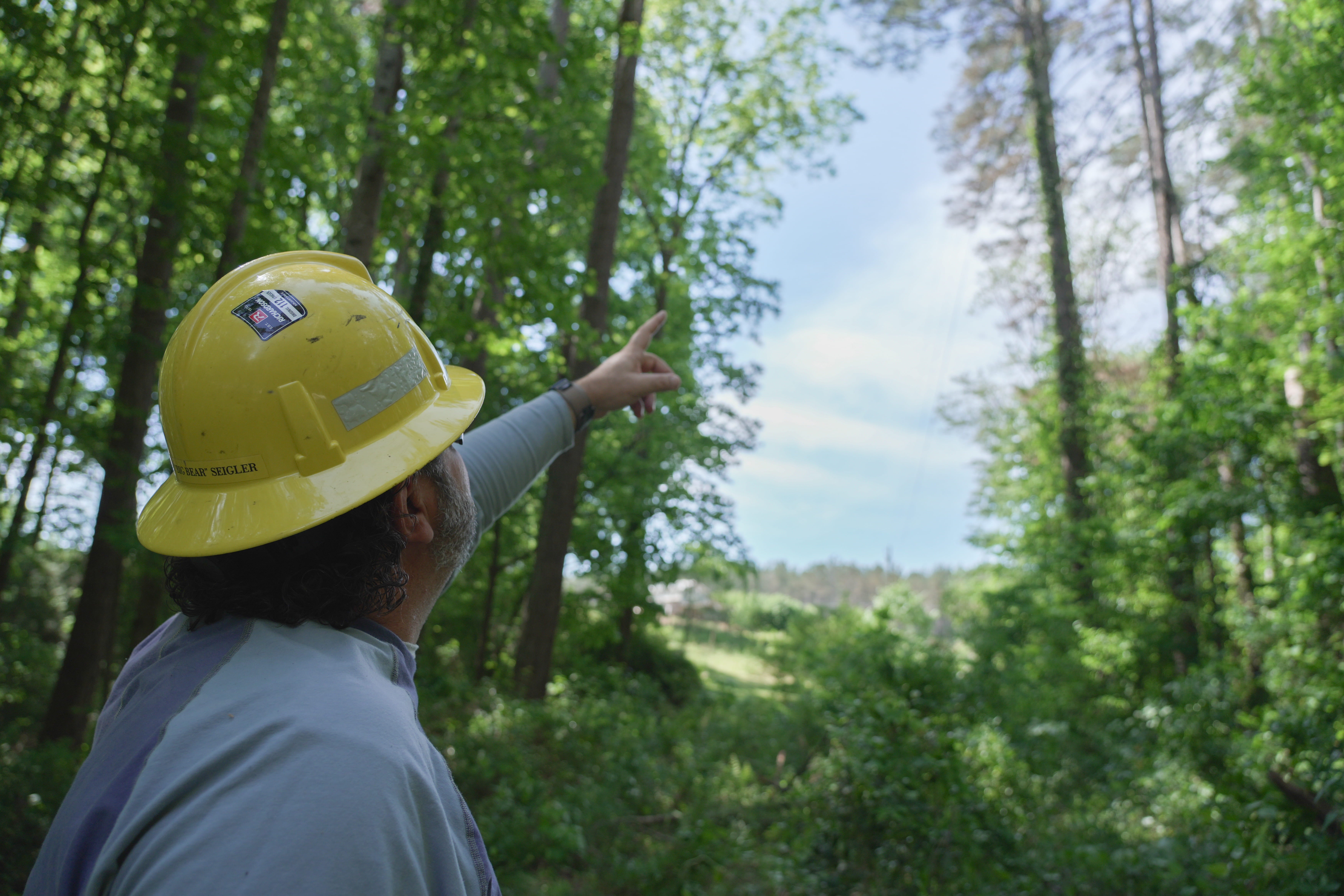 Yellow hardhat point